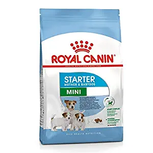Royal Canin Mini Starter, 1 kg