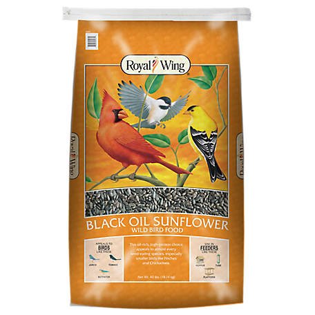 Sunflower Oil