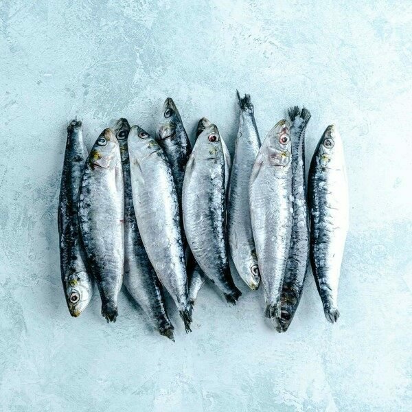 WHOLE SARDINES - ABOUT 12 FISH