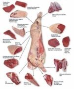 Beef Hind - Image 2